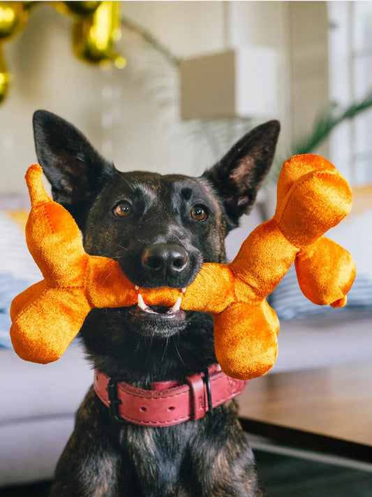 Peluche pour chien - Party Animals 🥳 Ballon chien - Pet PLAY