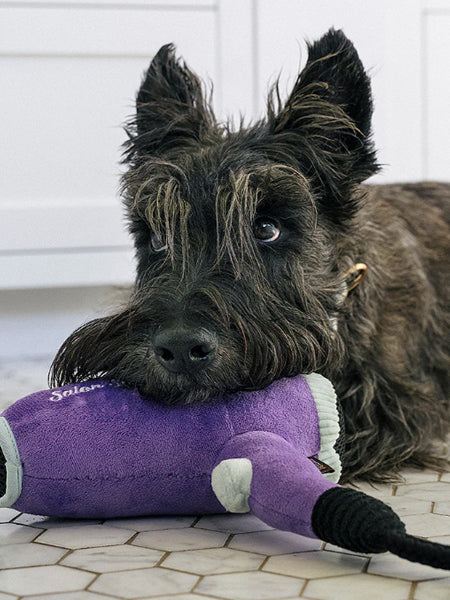 Peluche pour chien - Splish Splash - Howlin’ Hair Dryer 💇 - Pet PLAY