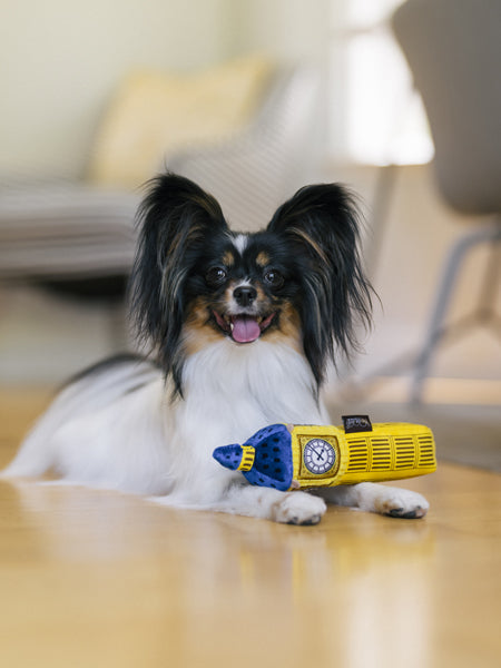 Jouet en peluche pour chien