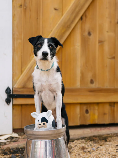 Jouet en peluche pour chien - Barnyard Buddies Vache 🐮 - Pet PLAY