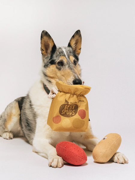 Peluche pour chien
