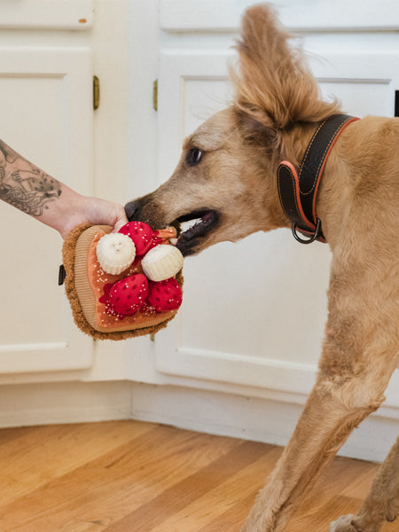 Jouet en peluche pour chien - French Toast - Pet PLAY x IHOP