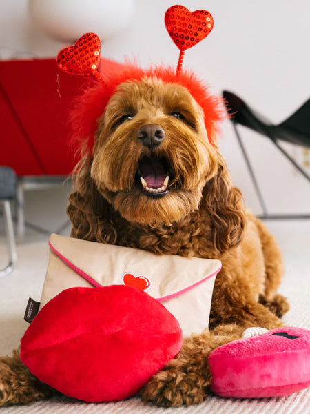 Peluche pour chien