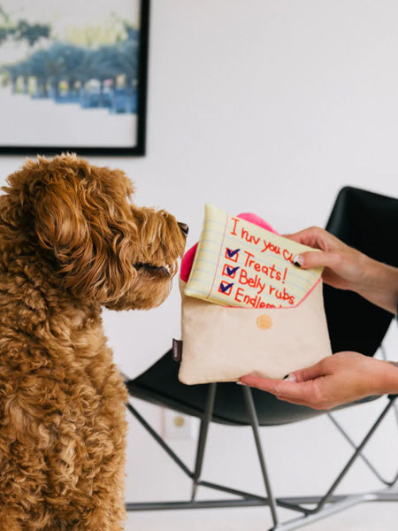 Peluche pour chien - Love Bug - Lettre d'amour 💌 - Pet PLAY