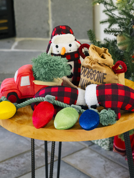 Jouet en peluche pour chien