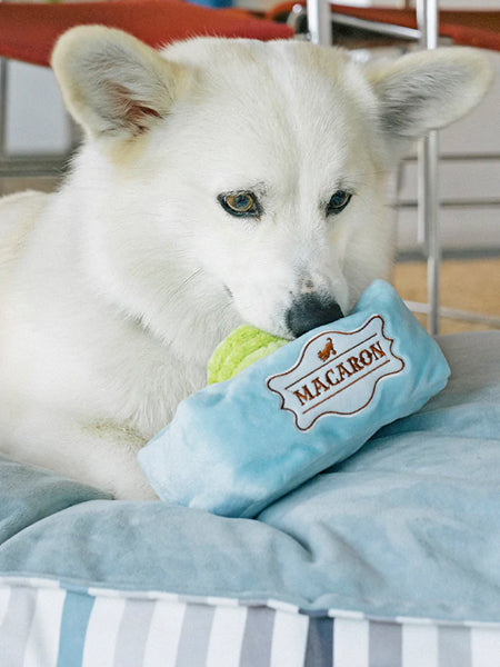 Peluche pour chien
