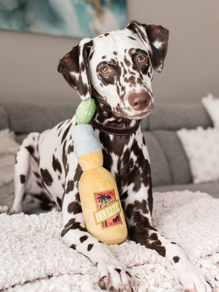 Jouet en peluche pour chien - Tropical Paradise - Cerveza Canine 🍺 - Pet PLAY