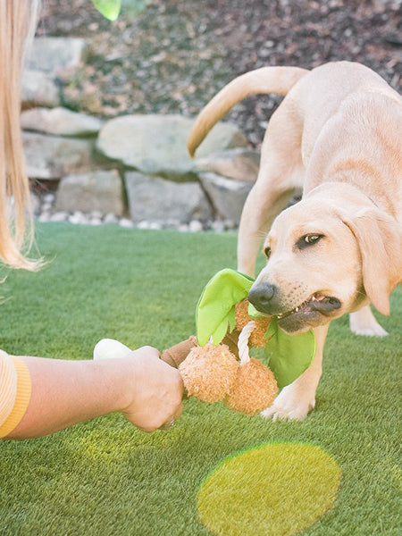 Jouet en peluche pour chien - Tropical Paradise - Palmier - Pet PLAY