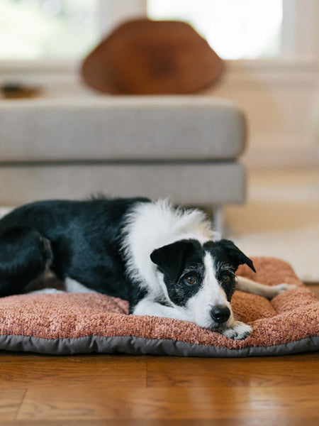 Couchage pour chien - Chill Pad Canyon Terracotta - Pet PLAY