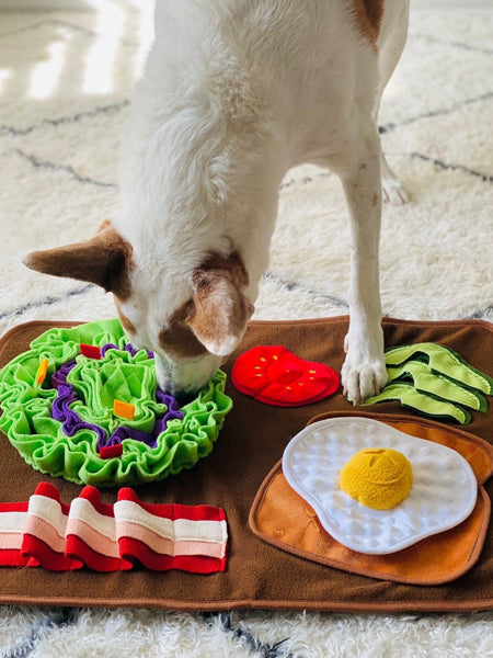 Grand Tapis de fouille pour chien - Brunch 🍳 - Pet PLAY