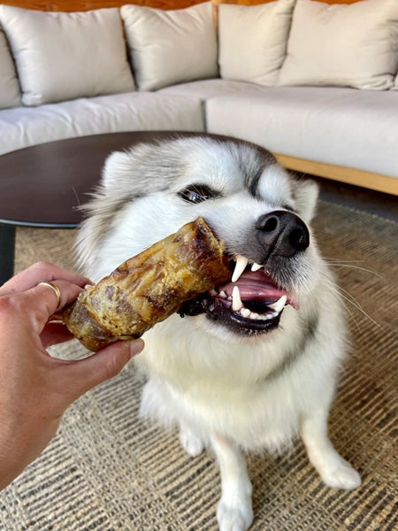 Friandise de mastication pour chien