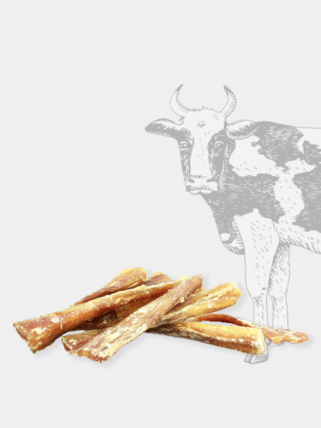 Friandise à mâcher pour chien