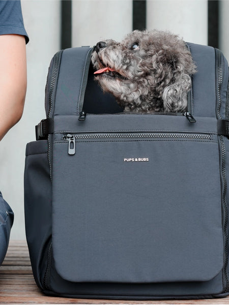 Sac de transport pour petit/moyen chien - Traveler Pet Carrier - Pups & Bubs