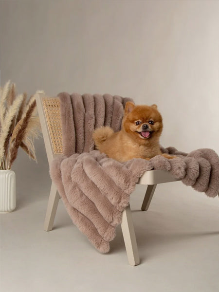Plaid en fausse fourrure pour chien et chat - Aspen - Scruffs