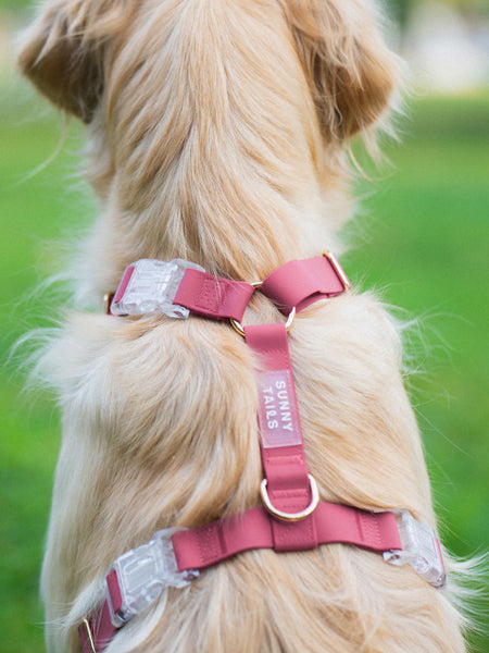 Harnais pour chien Cloud Lite - Mûre - Shop Sunny Tails