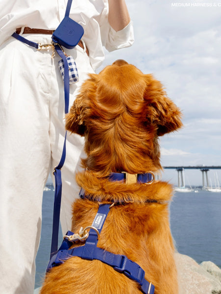 Harnais pour chien Cloud Lite - Bleu nuit - Shop Sunny Tails