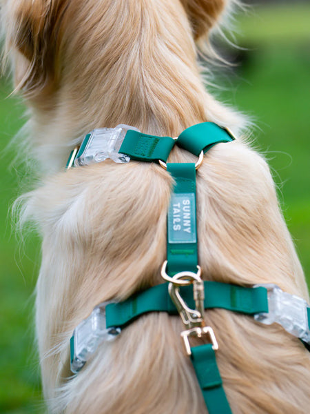 Harnais pour chien Cloud Lite - Vert forêt - Shop Sunny Tails
