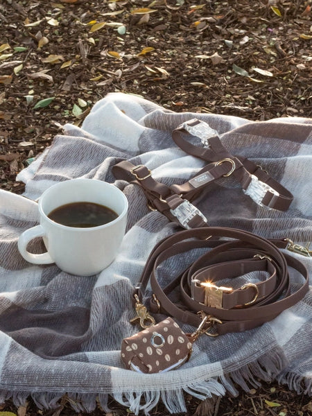 Laisse pour chien multipostions Cloud - Espresso - Shop Sunny Tails