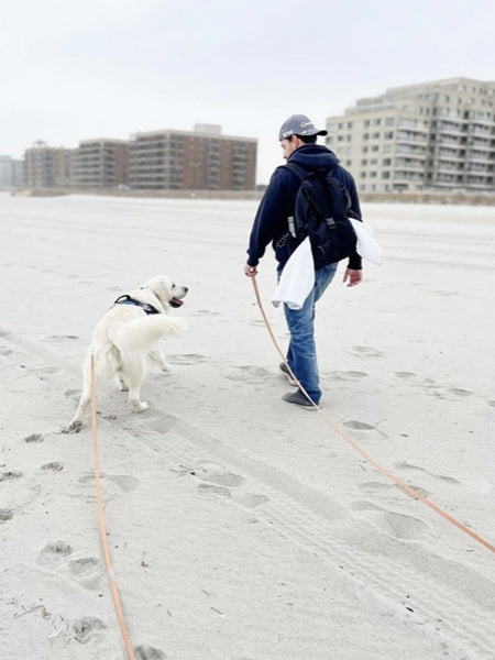 Longe waterproof d'éducation pour chien - Espresso - Shop Sunny Tails