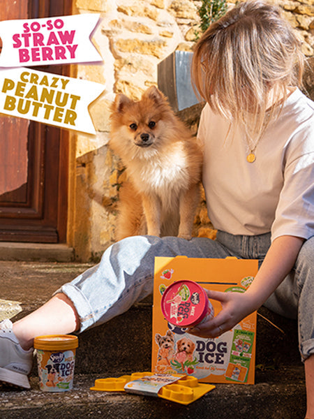 Kit de préparation pour glaces pour chien 🍓 + 🥜 - Petit chien - Smoofl