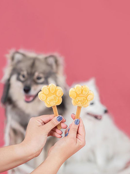 Kit de préparation pour glaces pour chien