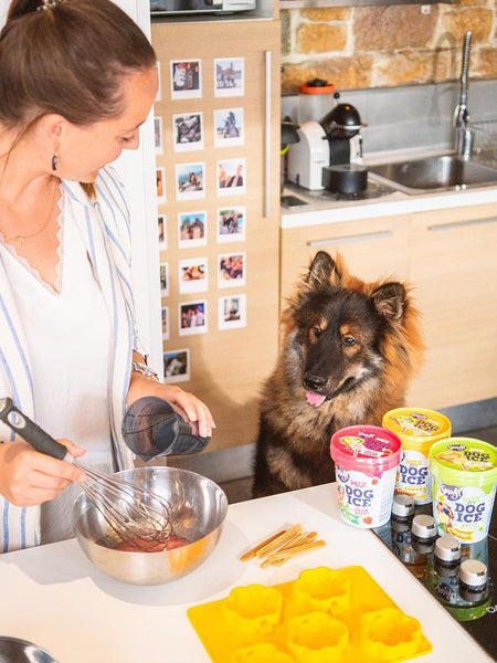 Moule à glaces pour chiot et petit chien - Taille S - Smoofl