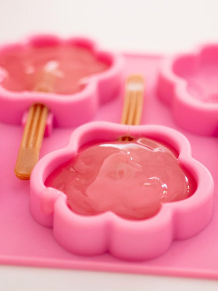 Moule à glaces pour chien - Taille M - Smoofl