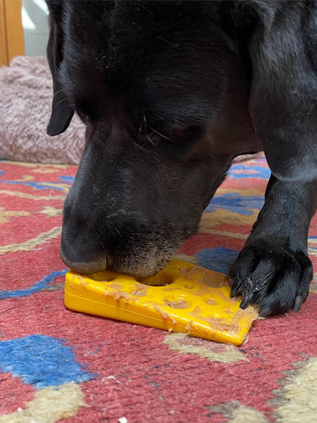 Jouet à mâcher ou à lécher - Fromage 🧀 - SodaPup