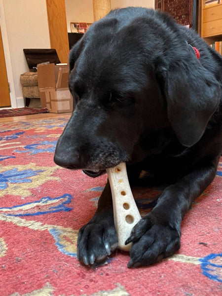 Jouet à mâcher ou à lécher pour chien - Os à garnir - SodaPup