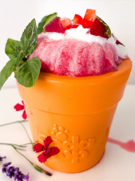 Jouet occupation pour chien - Pot de Fleur Orange - SodaPup