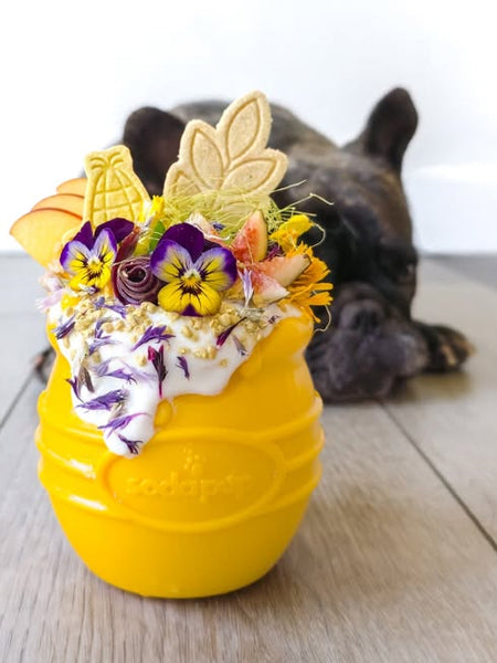 Jouet occupation pour chien - Pot de Miel (2 tailles) - SodaPup