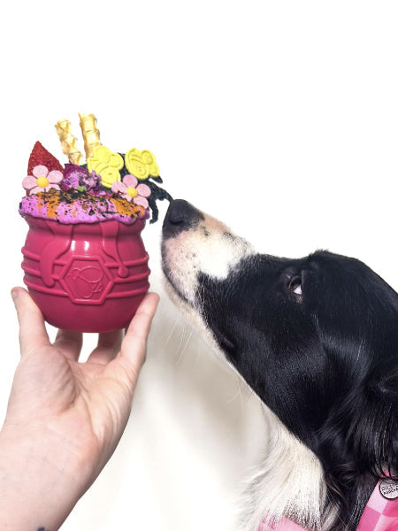 Jouet occupation pour chien - Pot de Miel Rose (2 tailles) - SodaPup