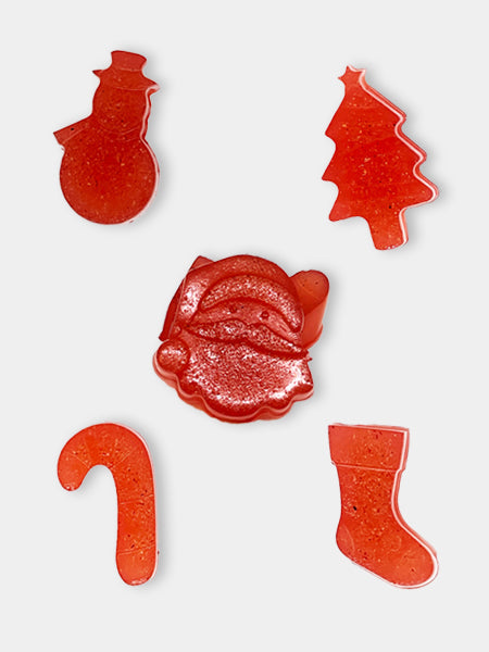 Moule en silicone pour préparation glacée de Noël pour chien - Sodapup