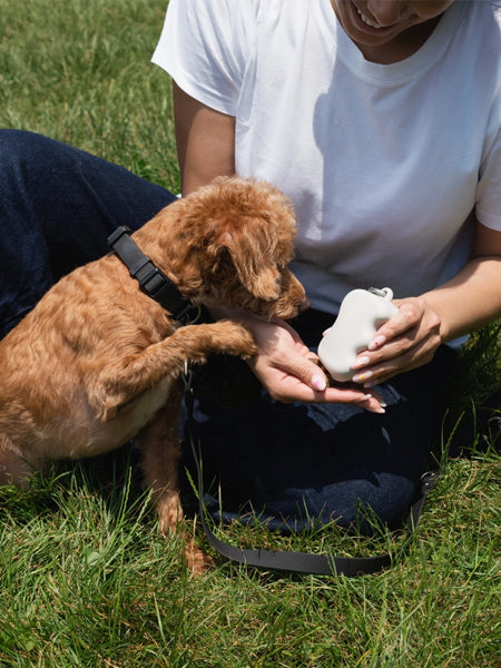 Pochette à friandises pour chien en silicone - Avoine - Springer