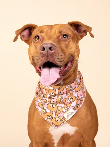 Bandana pour chien - Motif Fluff Dog - The Paws