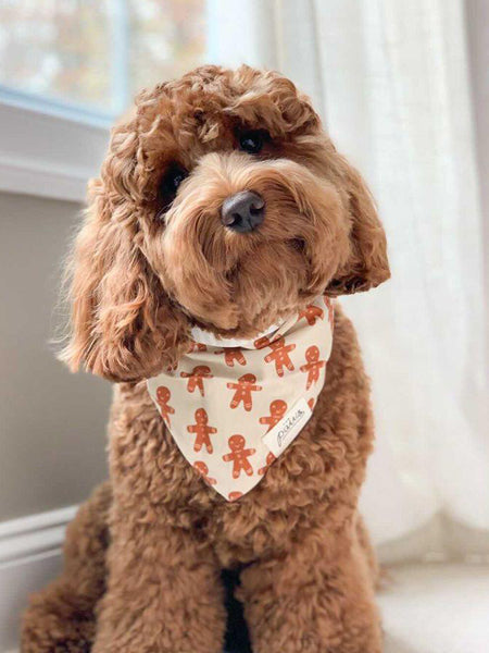 Bandana de Noël pour chien - Motif Little Ginger - The Paws