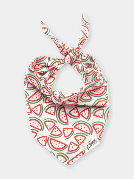 Bandana pour chien - Pastèque Pique Nique - The Paws