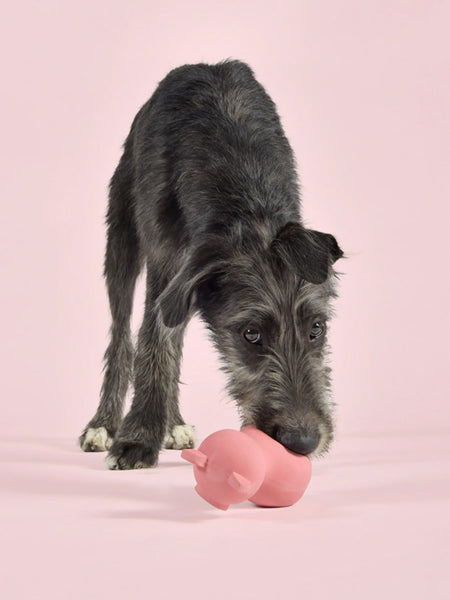 Jouet pour chien en latex - Pinky Pig - United Pets