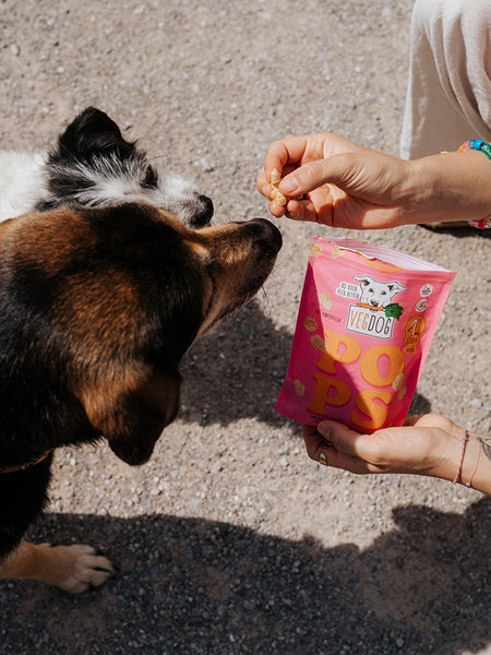 Friandises soufflées pour chien - Pops 🍘 - Vegdog