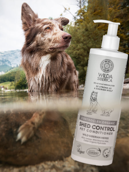 Shampoing bio pour chien et chat - Contrôle de la mue - Wilda Siberica