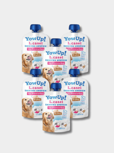 Yaourt à boire pour chien - Boost immunitaire à la Dinde🦃 - Yow Up !