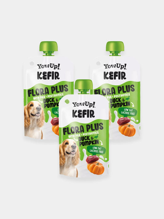 Kéfir à boire pour chien - Canard 🦆 et Citrouille - Yow Up !