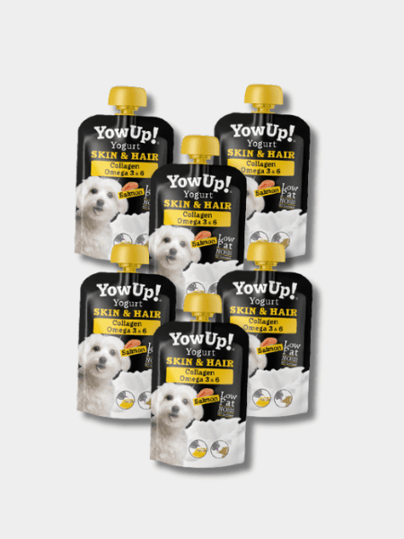 Yaourt à boire pour chien