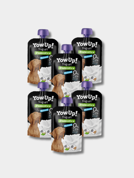 Yaourt à boire pour chien