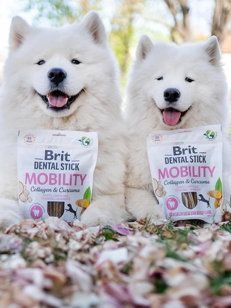 Stick dentaire pour chien - Brit Dental Stick - Mobility 🦵
