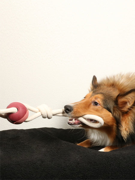 Balle en caoutchouc et corde pour chien - Yara rose