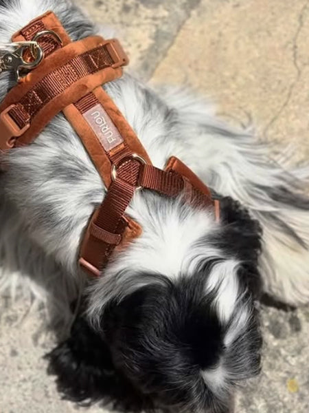 Harnais pour chien - Velvet Harness - Clay (Terre cuite) - Furlou