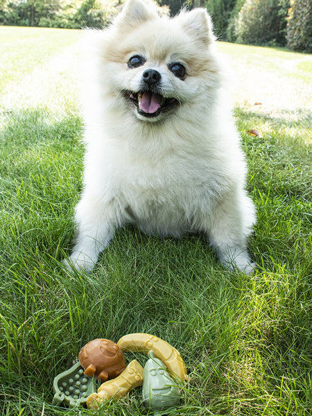 Friandises dentaires à mâcher pour chien - Garden Bites Fruity Friends - S