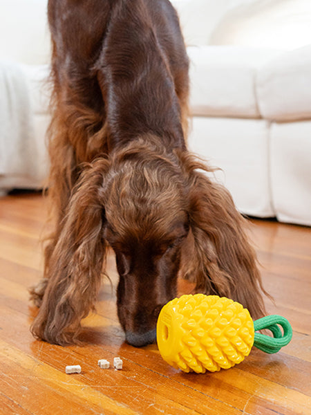 Jouet à remplir pour chien - Ananas 🍍