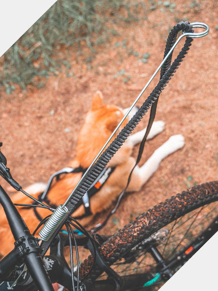 Antenne cani-VTT Fixe - Bike antenna - Non-Stop Dogwear